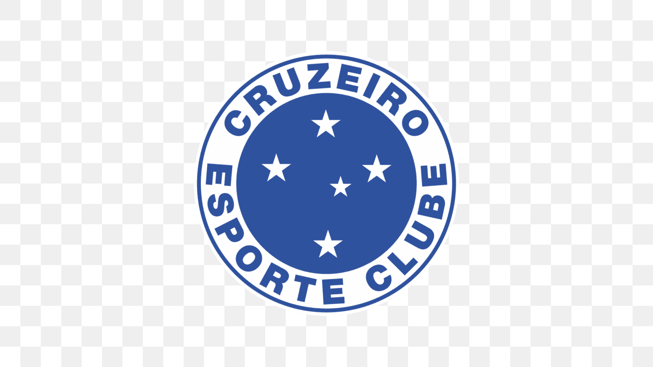 Organizador 01